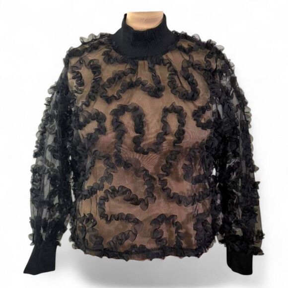 A LOVE STORY 3D Ruffle Sheer Long Sleeve Blouse Size XXL - Picture 1 of 7